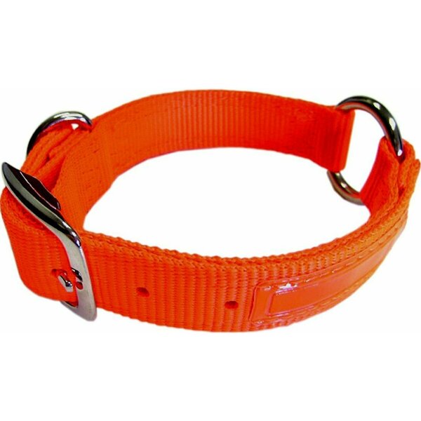 Hamilton Hunt/Sport Safe-Rite Buckle Dog Collar SR/TAPE 22OR